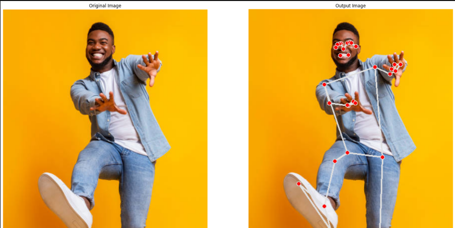 Human Pose Estimation